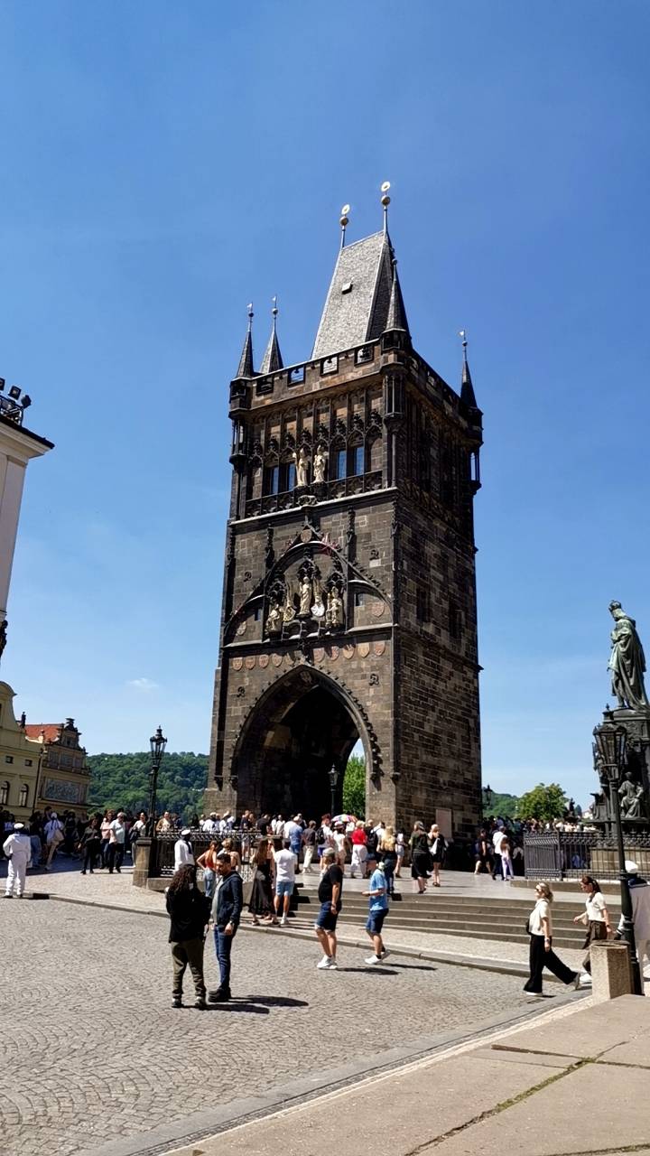 Vltava River View
